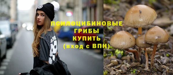 соль ск Аркадак