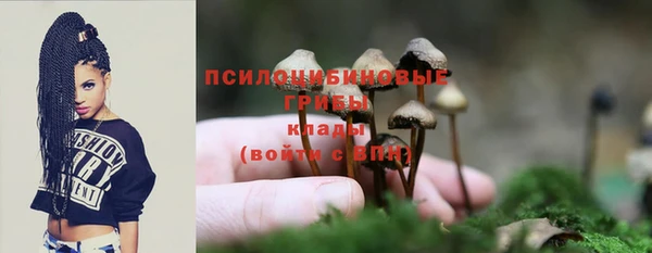соль ск Аркадак